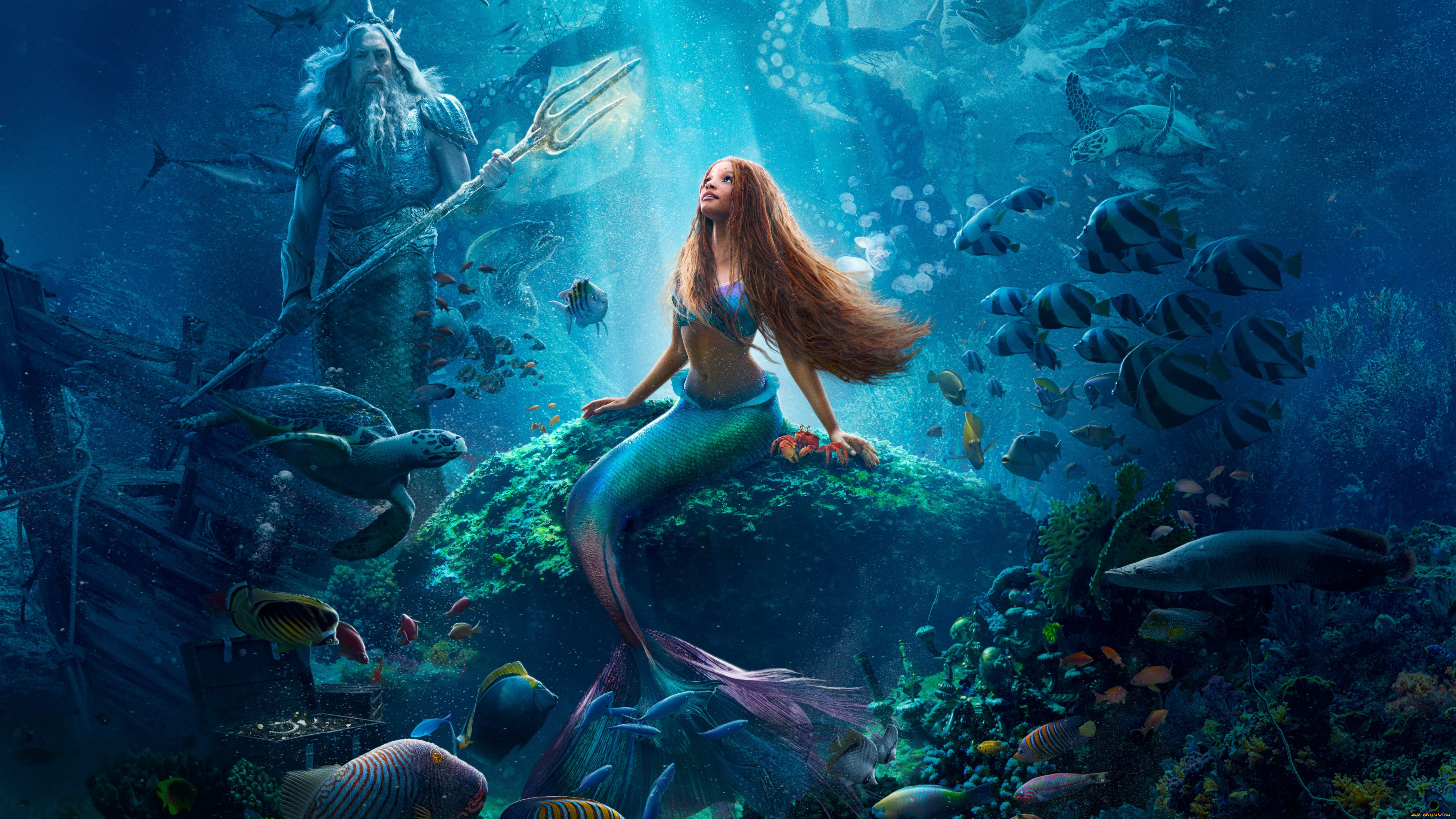  , -unknown , , the, little, mermaid, 